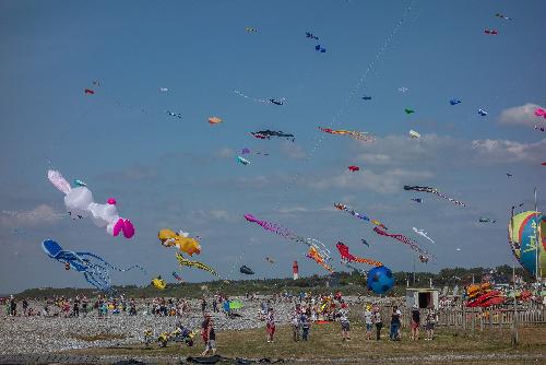 Bild Coloring the Sky Kite Festival