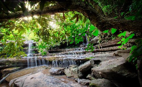 Bild Das Naturschutzgebiet Umphang in Thailand