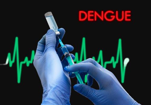 Bild Dengue Impfung fr Thailand - Fragen und Antworten
