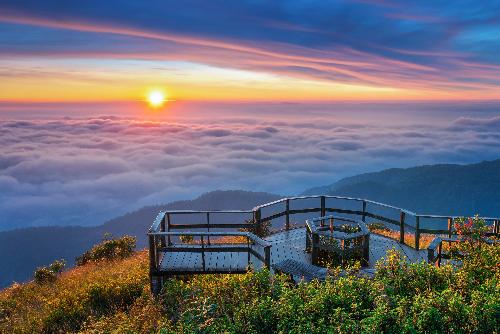 Der Berg ruft - Doi Inthanon soll ASEAN-Naturerbe werden - Reisenews Thailand - Bild 1