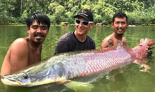 Bild von: https://www.exoticfishingthailand.com