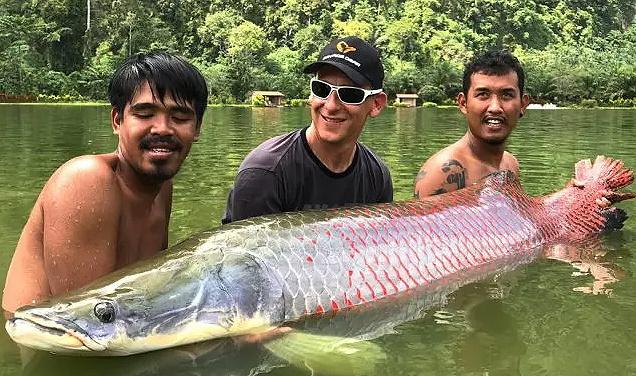 Der Fang deines Lebens - Monsterfische lauern in Phang Nga - 180-Kilo-Giganten, urzeitliche Raubfische und ein Angelabenteuer zwischen Thailands spektakulären Kalksteinfelsen Symbolfoto 4