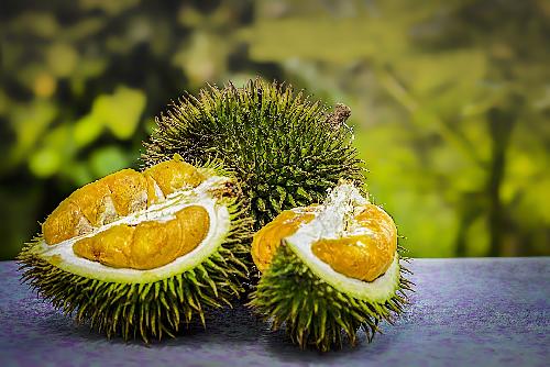 Bild Die Durian - Königin des Geschmacks und Gestanks