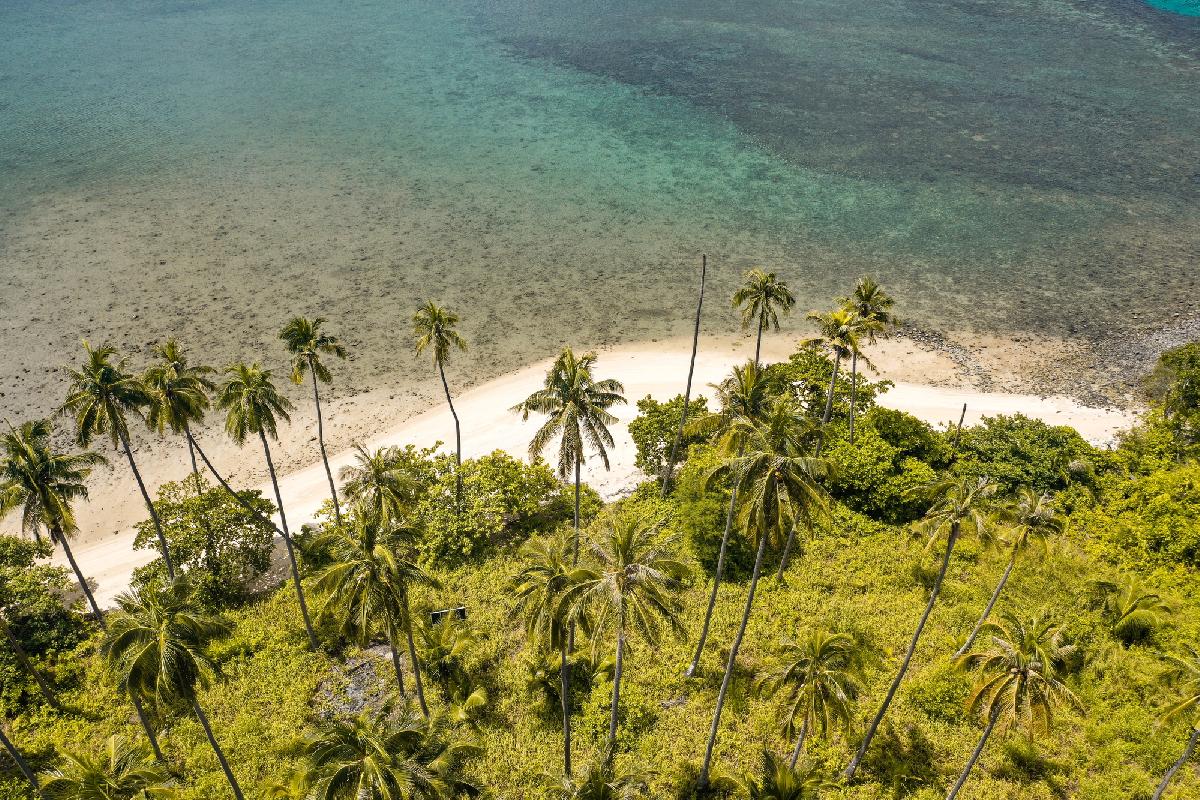 Die Königin, die den Schildkröten ihre Insel schenkte  - Königinmutter Sirikit und ihr ewiges Vermächtnis für das Meer Symbolfoto 1