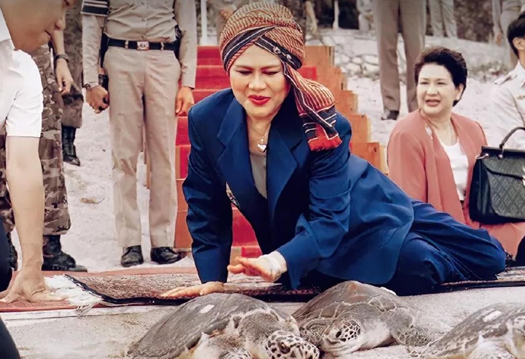 Die Königin, die den Schildkröten ihre Insel schenkte  - Königinmutter Sirikit und ihr ewiges Vermächtnis für das Meer Symbolfoto 3