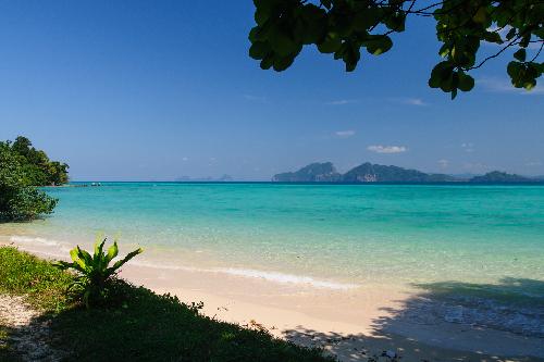 Die Schlieung des Besten Strandes der Welt  - Reisenews Thailand - Bild 2