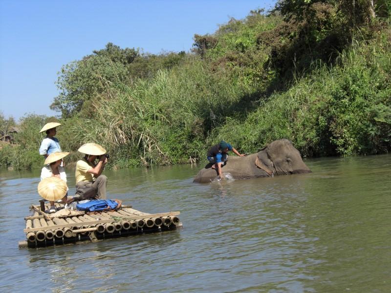 Die Überschwemmungen weiten sich aus - Mit Pumpen und Häftlingen gegen die Flut - Elefanten in Not - Nationalparks geschlossen Bild 3