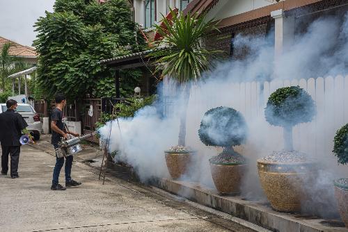 Erhebliche Zunahme von Dengue-Fllen in Bangkok - Reisenews Thailand - Bild 1