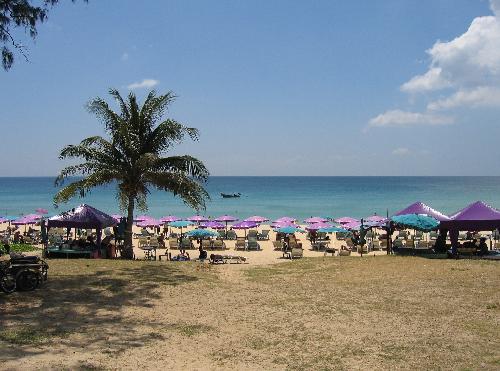 Erster Direktflug aus Zrich mit quarantnefreien Touristen eingetroffen - Reisenews Thailand - Bild 1