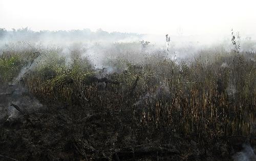 Bild Extreme Luftbelastung im ganzen Nordwesten Thailands