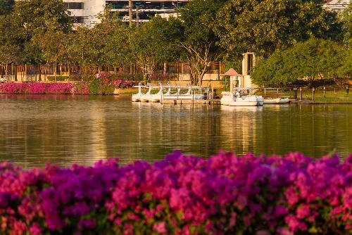Bild Flora-Festival in Bangkok: Blhende Ehre fr Knigsmutter Sirikit