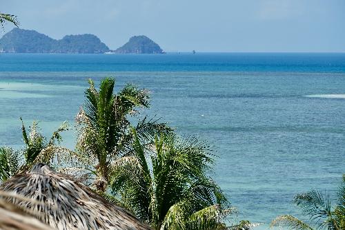 Bild Frisches Glck auf Koh Phangan