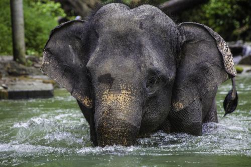 Geheimnisse Asiens - Die schnsten Nationalparks - Reportagen & Dokus - Bild 2