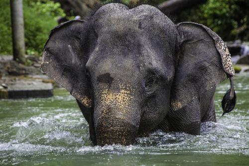 Geheimnisse Asiens - Die schnsten Nationalparks Thailand