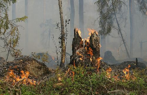 Gesundheitswarnung - Dicke Luft in Thailands Nordwesten - Reisenews Thailand - Bild 1