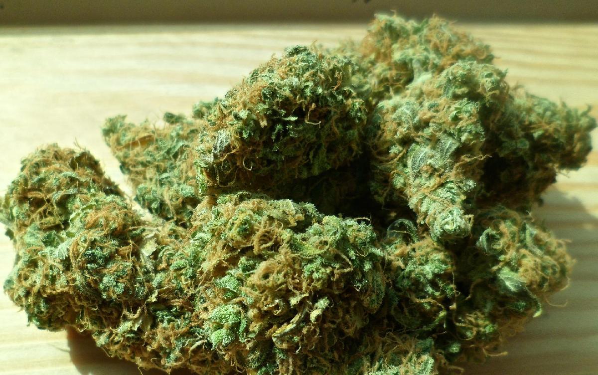 Handel mit Cannabis soll eingedämmt werden - Erfolgloser Versuch der Legalisierungsgegner gegen Milliardengeschäft  Bild 3