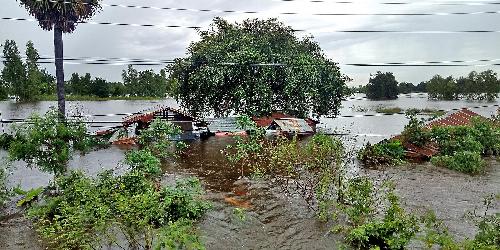 Bild Heftige berschwemmungen in Chiang Ra