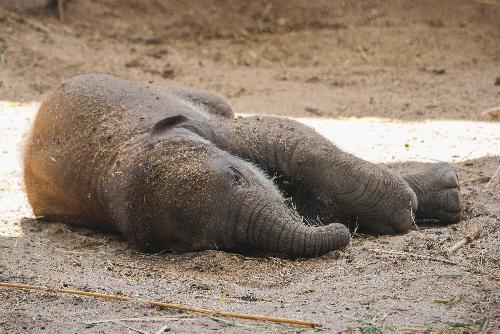  - Reisenews Thailand - Symbolfoto 1