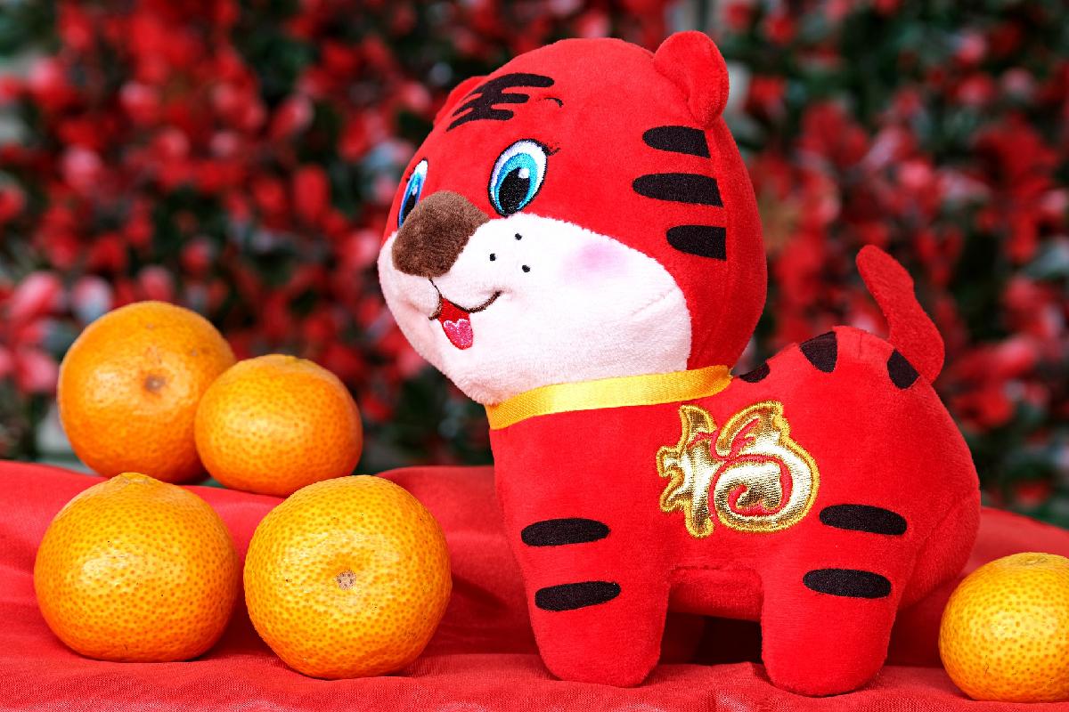 Heute ist chinesisches Neujahr Bild 1