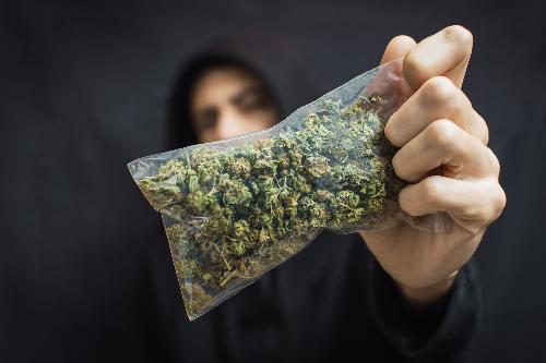 High-Flying College Fund - Gras-Koffer aus Thailand soll Karriere zünden - Brite mit grünem Daumen? 33 kg Cannabis erfreuen Wiener Zöllner Bild High-Flying College Fund - Gras-Koffer aus Thailand soll Karriere zünden