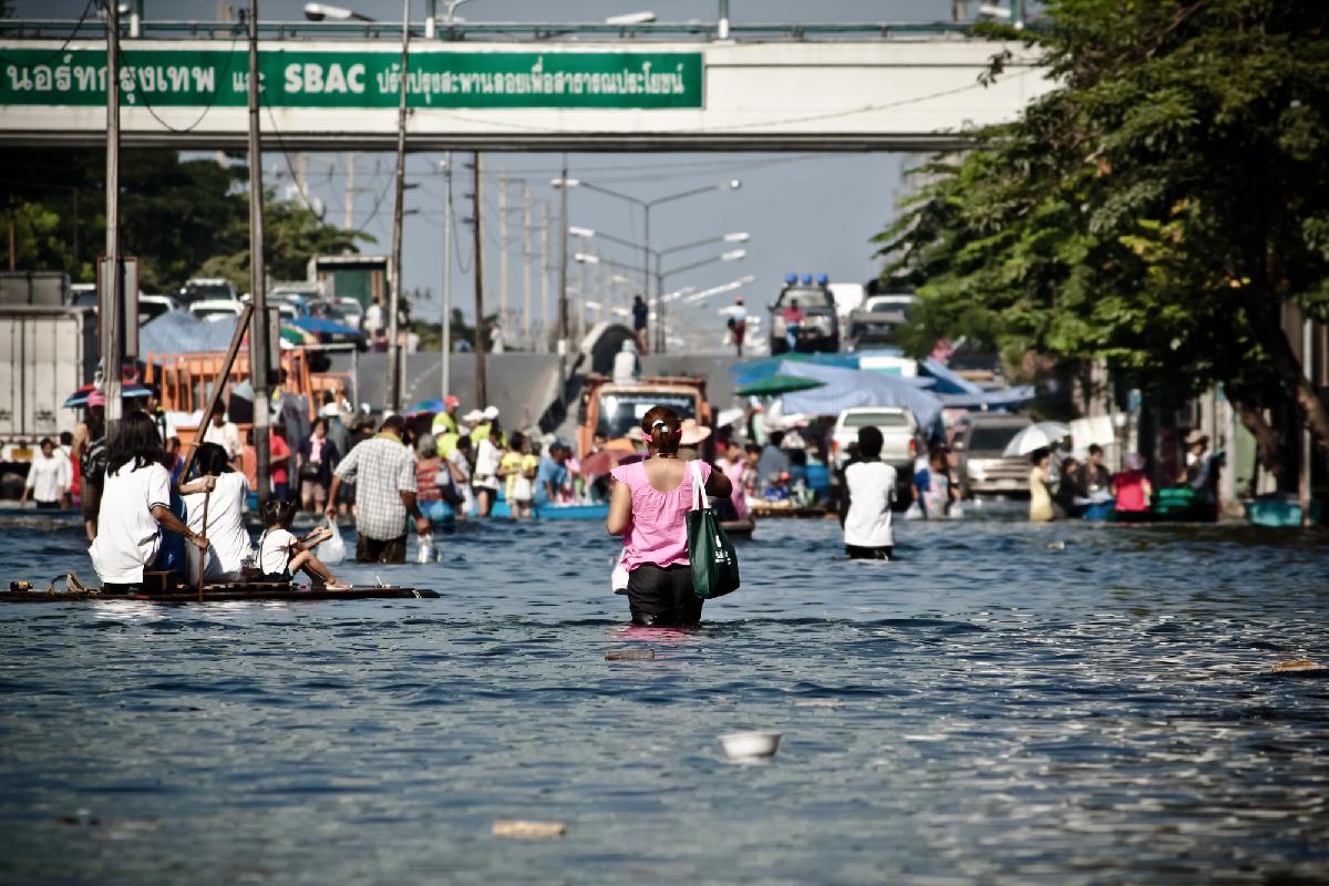 Hochwasser Thailand: 10.000 Soldaten im Einsatz, Airports im Chaos - Wasser, Staus und Hamsterkäufe und irgendwo schwimmt ein Krokodil Symbolfoto 2