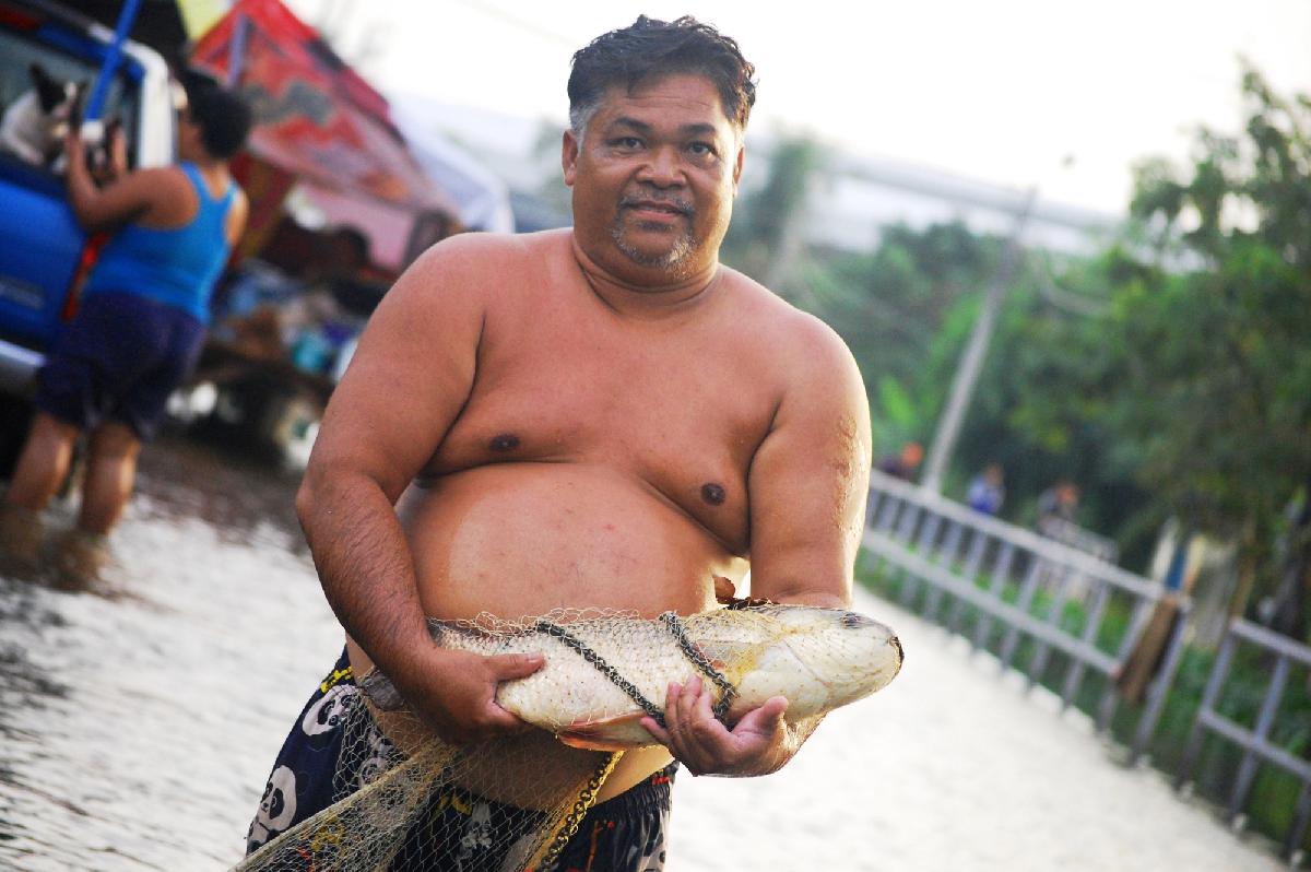 Hochwasser Thailand: 10.000 Soldaten im Einsatz, Airports im Chaos - Wasser, Staus und Hamsterkäufe und irgendwo schwimmt ein Krokodil Symbolfoto 4