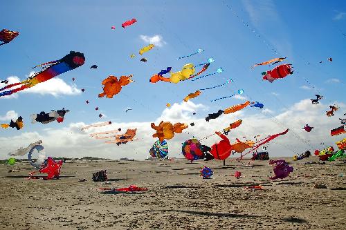 Pattaya International Kite On The Beach 2025 - Veranstaltungen - Bild 1