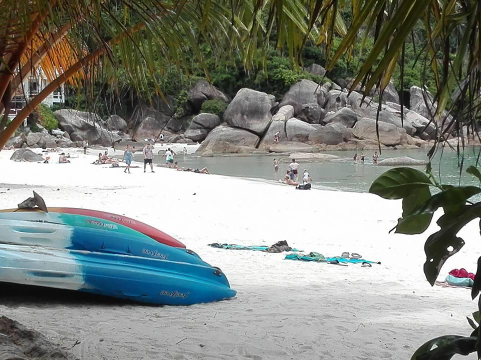 Koh Samui zur 7. besten Insel der Welt gekürt - Innerhalb Asiens rangiert die Insel Samui bei Travel+Leisure auf Platz 2 Bild 1