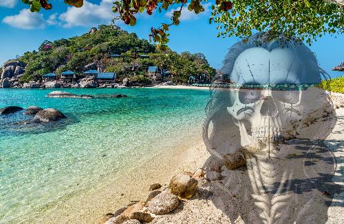 Bild Koh Tao: Zwischen Palmen, Panikmache und Paranoia