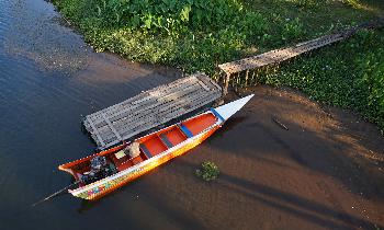 Longtail Dragboat Rennen - Thailand Blog - Bild 1