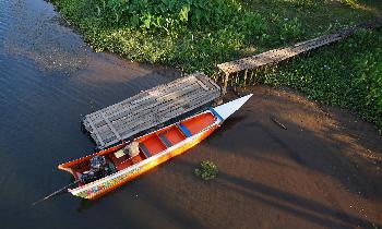 Bild Longtail Dragboat Rennen