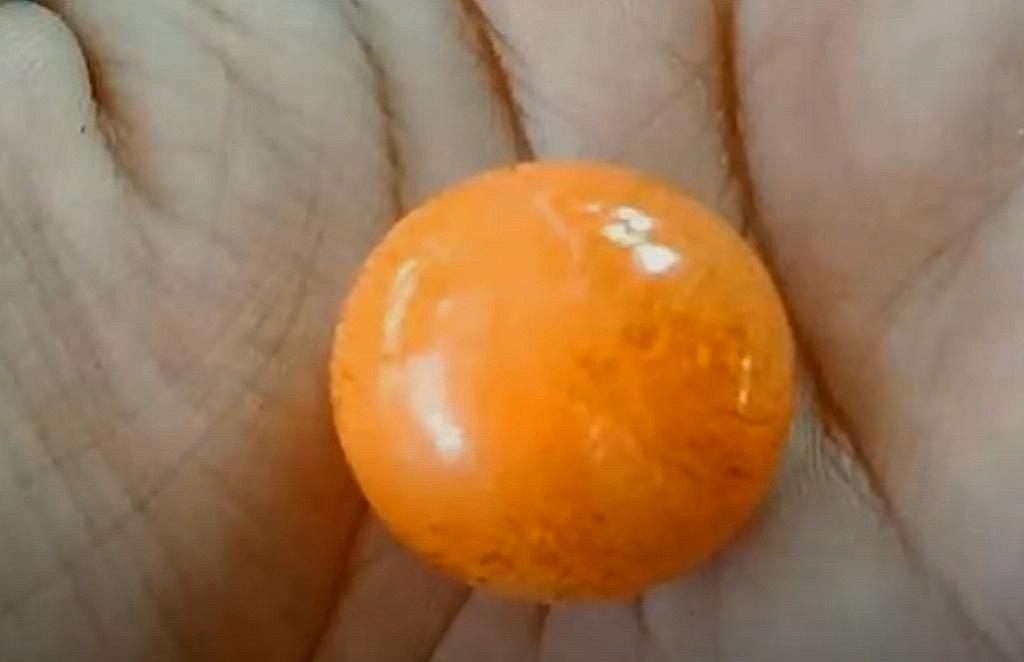 Mann findet seltene Melo-Perle im Abendessen - Die seltene Perle aus einer Schnecke dürfte rund 1 Million Baht wert sein Bild 1