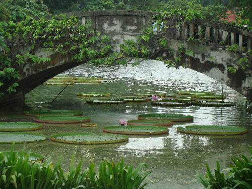 Bild Mehr Grünanlagen für Bangkok