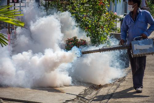 Mit dem Monsun kommt das Dengue Fieber - Reisenews Thailand - Bild 1