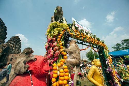 Bild Monkey-Festival Lopburi - das einzigartige Affenbuffet