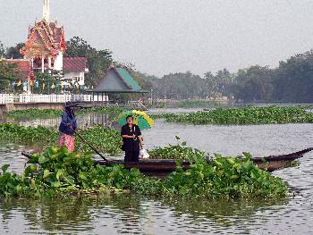 Bild Mllentsorgung Bangkok vs. Mnchen