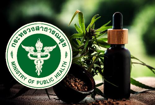 Neues Handbuch zum Marihuana-Konsum fr Touristen  - Reisenews Thailand - Bild 1