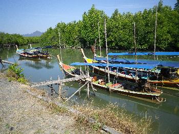 Bild Niederbayerische Fischer in Thailand