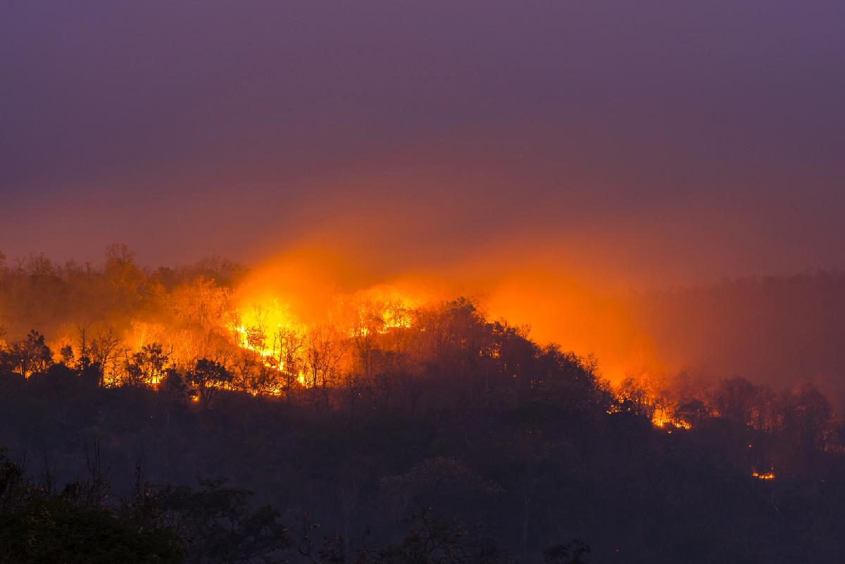 Notstand verhängt über Chiang Mai, Phayao und Lamphun - Smog-Lage spitzt sich dramatisch zu und warum sich das nie ändern wird Symbolfoto 1