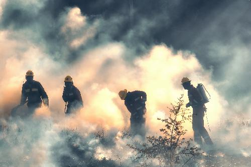 Bild Parks und Schutzgebiete wegen Feuer geschlossen