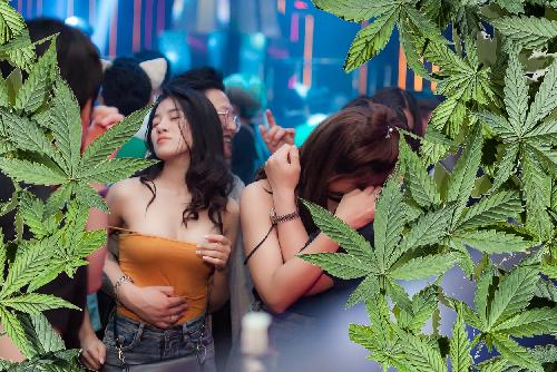 Bild Phuket Cannabis Cup - das gibt es nur in Thailand