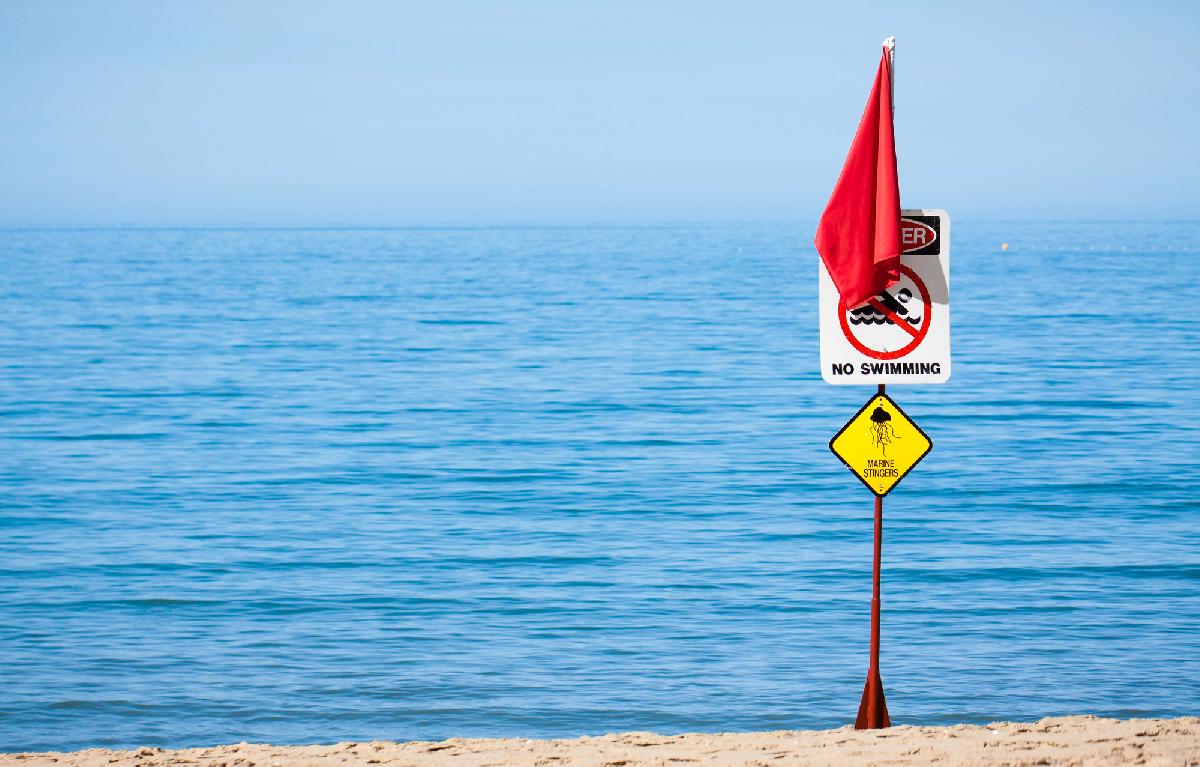 Phukets Lifeguards schlagen Quallen-Alarm - ⚠️ Nach Zwischenfall am Nai Thon Beach, Quallen an weiteren Stränden Symbolfoto 4