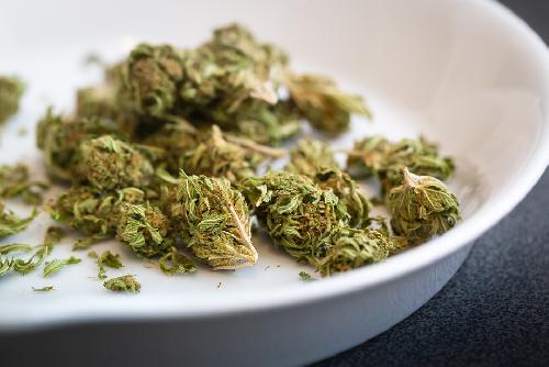 Premier und Gesundheitsminister gegen Cannabis-Freizeitgebrauch - Regierende wollen nur noch medizinische Anwendungen erlauben, aber... Bild Premier und Gesundheitsminister gegen Cannabis-Freizeitgebrauch