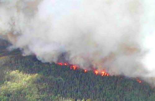 Regierung schliet wegen Smog 89 Nationalparks - Reisenews Thailand - Bild 1