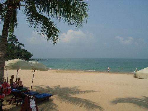 Reiseveranstalter von Phang Nga wollen Sandbox umgehen - Reisenews Thailand - Bild 2