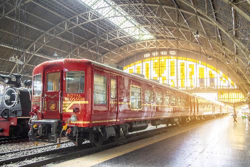 Royal Blossom 2025 - Thailands schnste Bahnreisen zum Jahresende - Reisenews Thailand - Symbolfoto 1