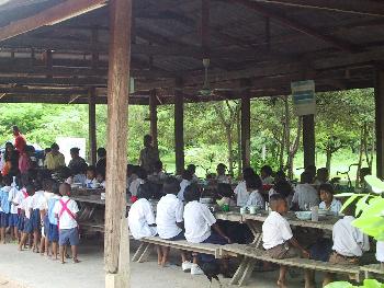 Schule auf dem Reisfeld - Thailand Blog - Bild 2