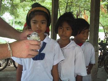 Schule auf dem Reisfeld - Thailand Blog - Bild 1