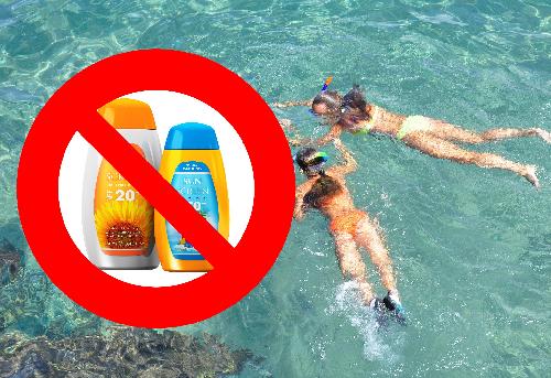 Bild Sonnencreme: Thailands saftige Strafen fr Korallen-Killer
