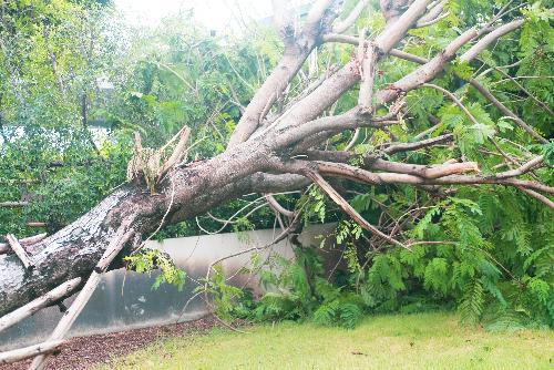 Sturm Wipha sorgt fr Ausnahmezustand und erstes Opfer - Reisenews Thailand - Bild 1